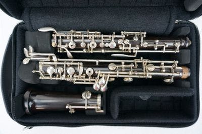 Internal case of oboe with instrument