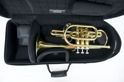 Internal case with instrument