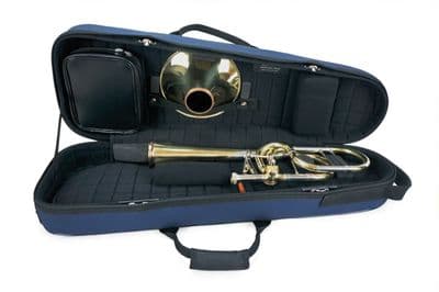 Internal case with instrument