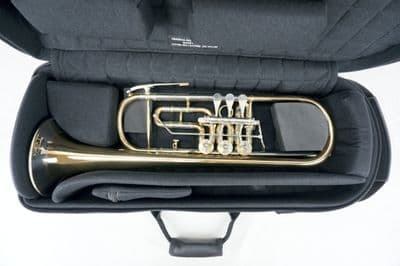 Internal case with instrument