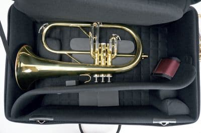 Internal case with instrument