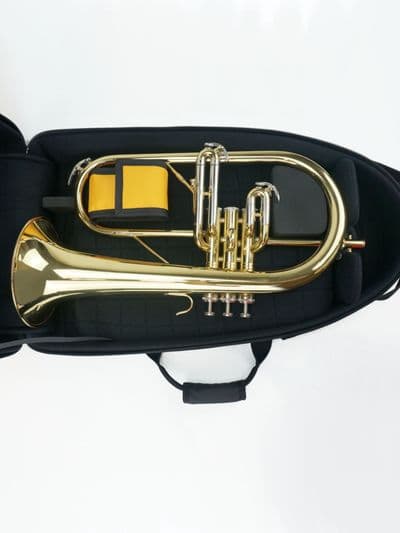Estojo interno com instrumento 2