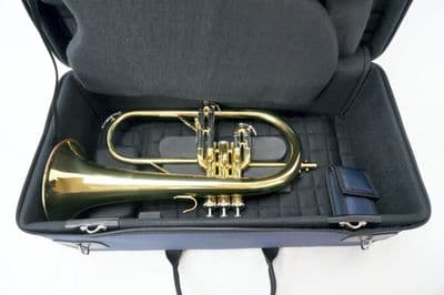 Estojo interno com instrumento