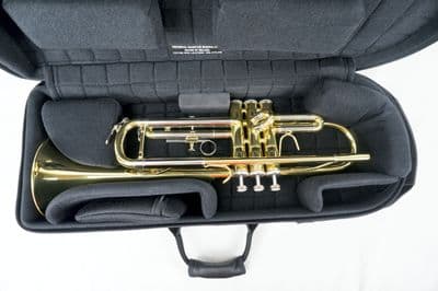 Estojo interno com instrumento 2