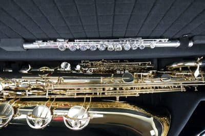 Internal case for baritone saxophone (Low A) with instrument