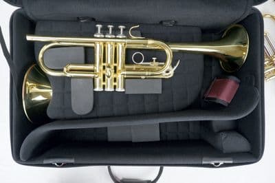 Internal case with instrument