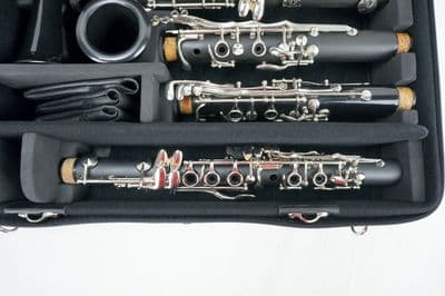 Estojo interno com instrumento