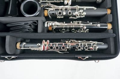 Internal case with instrument