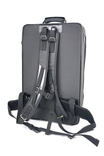 Travel case with waist belt