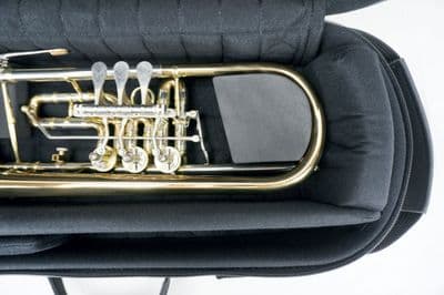 Estojo interno com instrumento