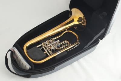 Estojo interno com instrumento