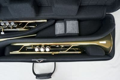 Internal case with instrument