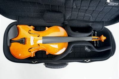 Internal case detail with violin 2
