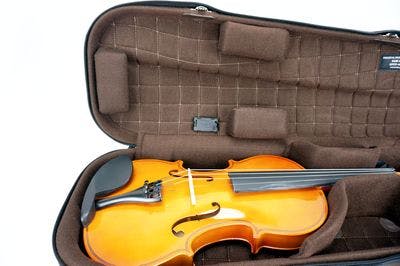 Detalhe do estojo interno com violino 2