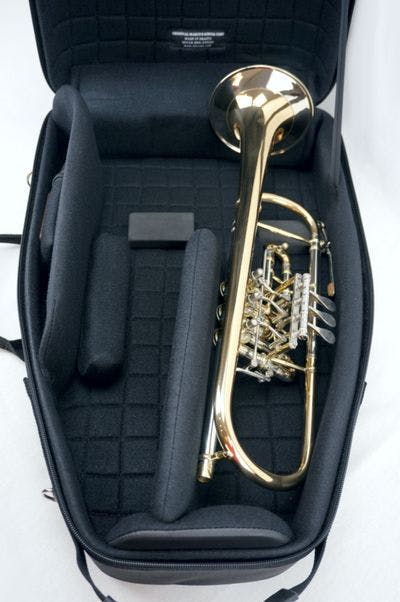 Internal case detail for 2 rotary trumpets