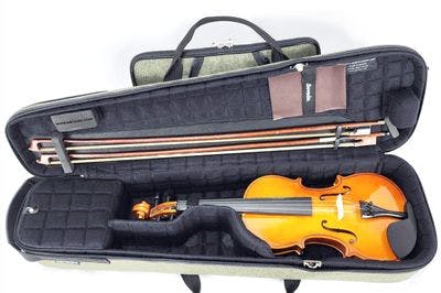 Open with Violin inside