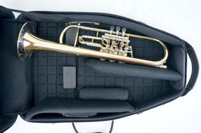 Internal case detail for 2 rotary trumpets 2