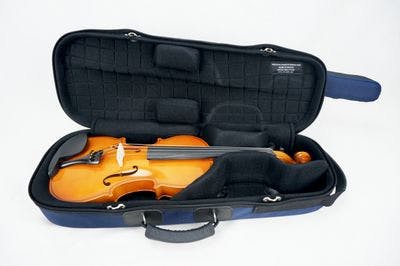 Internal case detail with violin