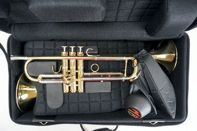 Internal case with instrument and mutes