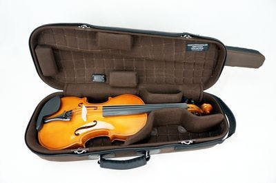 Detalhe do estojo interno com violino